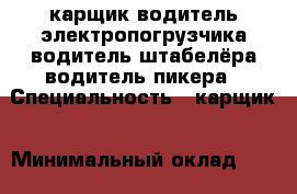 карщик водитель электропогрузчика водитель штабелёра водитель пикера › Специальность ­ карщик › Минимальный оклад ­ 40 000 › Возраст ­ 37 - Камчатский край, Петропавловск-Камчатский г. Работа » Резюме   